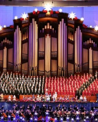 The Arrival - A Christmas Experience