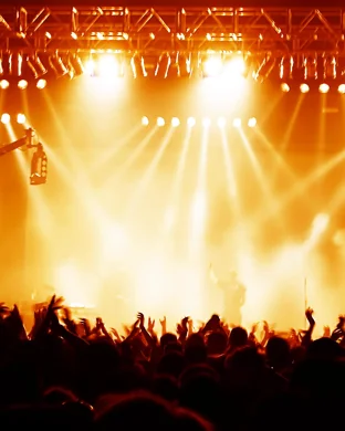 Basic Printer & Valentine Wolfe