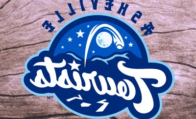 Asheville Tourists