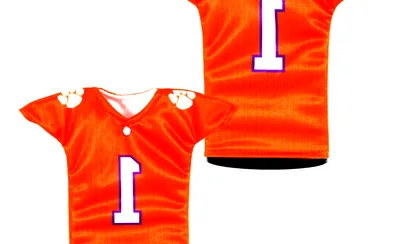 Clemson Tigers Football