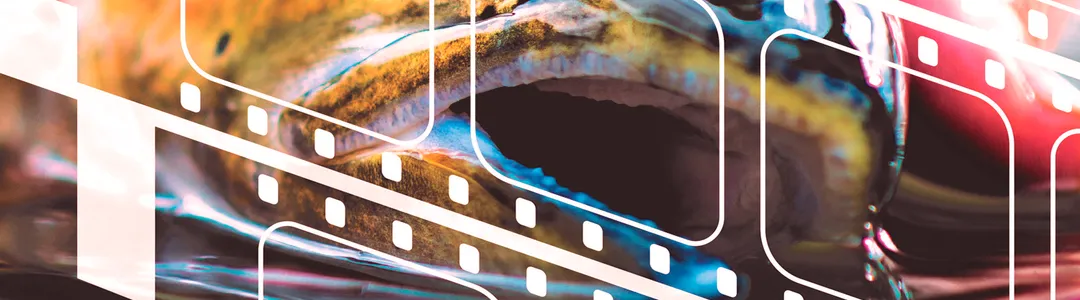 International Fly Fishing Film Festival