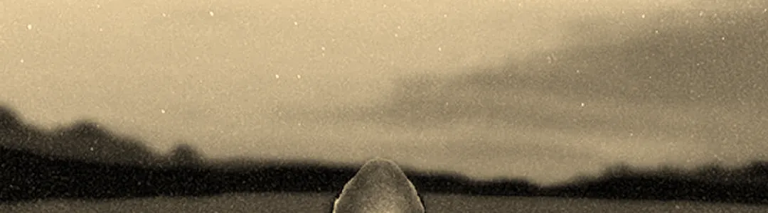 Niko Moon
