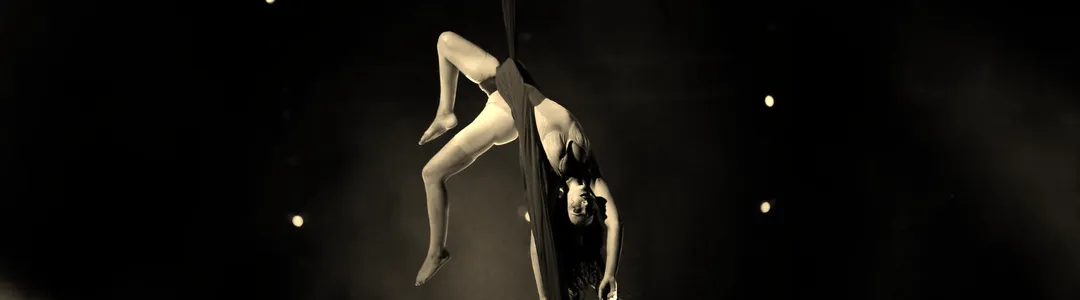 Paranormal Cirque Nightmare