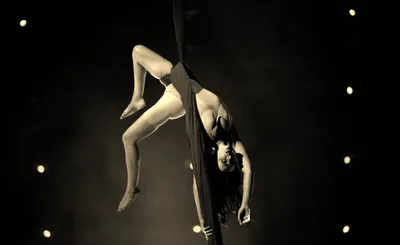 Paranormal Cirque Nightmare