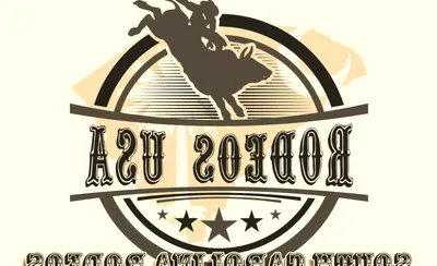Pro Rodeo Spartanburg