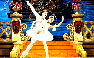 The Sleeping Beauty - Ballet