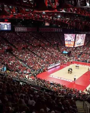 California Golden Bears Volleyball vs. Clemson Tigers